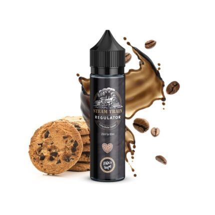 Steam Train Regulator 12/60